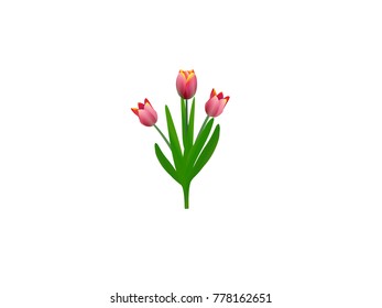 Tulip Flowers- Cartoon Vector Image