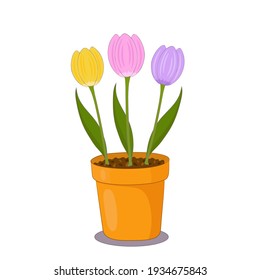 Tulip flowers in a clay pot on white background. Spring plants illustration