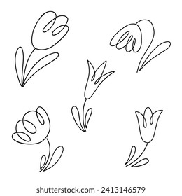 Tulip flowers collection. Doodle style vector line illustration isolated on white background.