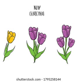 colección de flores de tulipán, vector libre