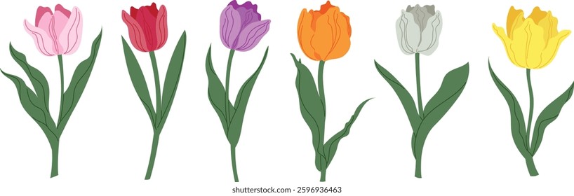 tulip flowers collection, springtime cute flat flowers set