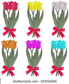 Tulip flowers colored set  - vector drawing isolated on white background