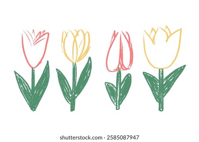 Tulip flowers crayon drawn set. Spring crocus plants doodle. Summer floral kids elements. Chalk or pastel style childish shape. Vector naive pencil illustration isolated on white background.