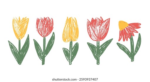 Tulip flowers crayon drawn set. Spring crocus plants doodle. Summer floral kids elements. Chalk or pastel style childish shape. Vector naive pencil illustration isolated on white background.