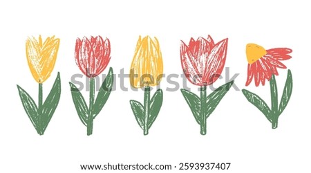Tulip flowers crayon drawn set. Spring crocus plants doodle. Summer floral kids elements. Chalk or pastel style childish shape. Vector naive pencil illustration isolated on white background.