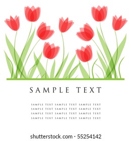 Tulip flowers. Design for greeting card