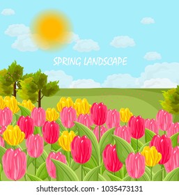 Tulip flowers field Vector. sunny day blue sky