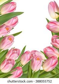Tulip flowers forming an abstract border, isolated over white background with copy space. EPS 10 vector file included