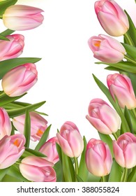 Tulip flowers forming an abstract border, isolated over white background with copy space. EPS 10 vector file included