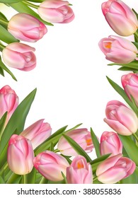 Tulip flowers forming an abstract border, isolated over white background with copy space. EPS 10 vector file included