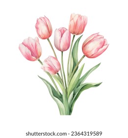 Tulip flowers for free vector