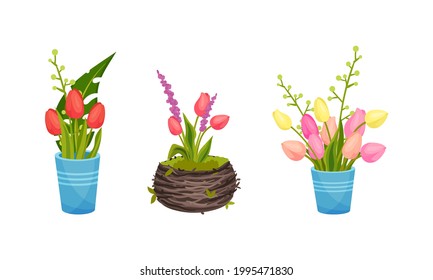 Tulip Flowers Growing in Flowerpot on Garden Bed Vector Set