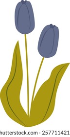 Tulip Flowers Handdrawn Vector Illustration