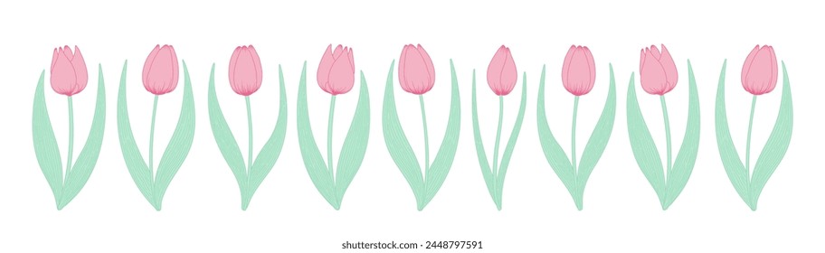 Tulip flowers horizontal border. Hand drawn line art illustration. Spring blossoms, pink blooms, decorative florals. Vector design, isolated. Mothers Day, Easter, seasonal, botanical drawing