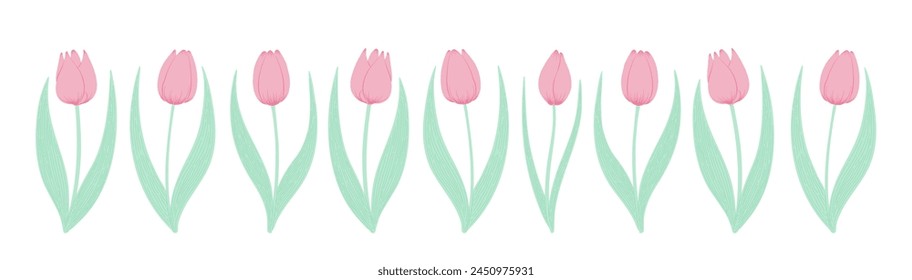 Tulip flowers horizontal border. Hand drawn flat illustration. Spring blossoms, pink blooms, decorative florals. Vector design, isolated. Mothers Day, Easter, seasonal, botanical drawing