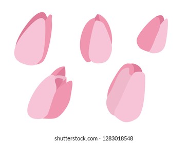 Tulip flowers icons set in flat style. Vector illustration