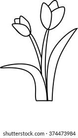 Tulip flowers isolated, black white,  Vector illustration