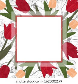 Tulip flowers - isolated vector frame