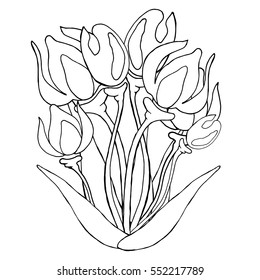 Tulip flowers isolated. Vector illustration