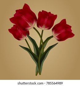 Tulip flowers isolated. Vector illustration realistic red