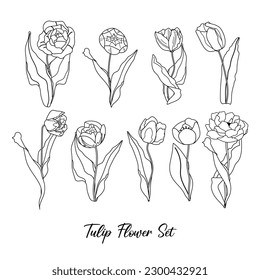 Flores de tulipán y hojas ponen vector. Ilustración botánica del resorte negro aislada en fondo blanco