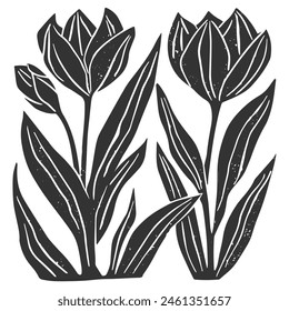 Tulip flowers linocut vector illustration with grunge texture. Monochrome linear woodcut illustration.