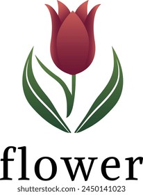 tulip flowers logo, Luxury flower vector logotype, Tulip flower  icon and symbol, vector illustration design