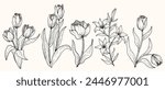 Tulip flowers in minimalism line art, a set of hand drawn tulip flowers suitable for wedding invitations, wallpapers and beauty businesses.