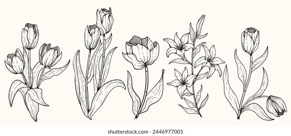 Tulip flowers in minimalism line art, a set of hand drawn tulip flowers suitable for wedding invitations, wallpapers and beauty businesses.