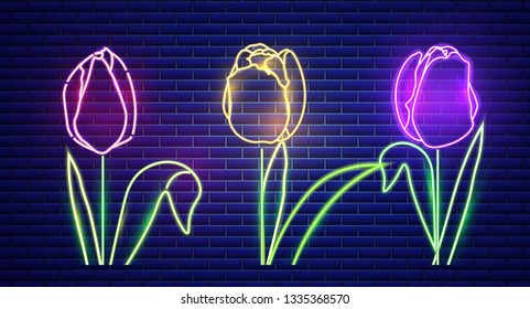 Tulip flowers neon light Vector. Vintage board. Glowing bouquet. Shiny Neon Light Poster, Flyer, Banner, Postcard, Invitation. Vector 3d Illustrations