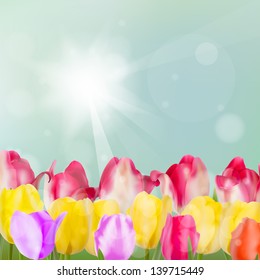 Tulip flowers on blue background. And also includes EPS 10 vector
