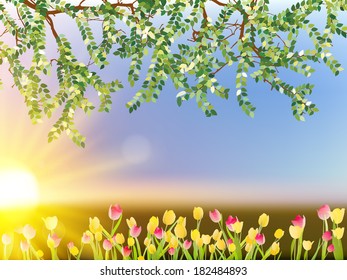 Tulip flowers on sky background. And also includes EPS 10 vector