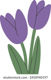 Ilustración vectorial vegetal de Tulip Flowers