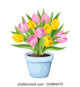 Tulip flowers in a pot. Vector illustration.