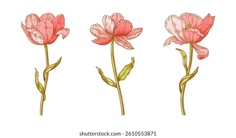 Tulip flowers set. Beautiful spring red blooms for Easter, Mother Day or Canadian Tulip Festival decor. Drawing vintage elements for design. Vector illustration