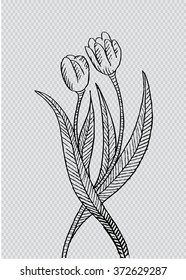 Tulip flowers sketch. 