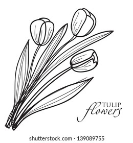 Tulip flowers sketch. Vector
