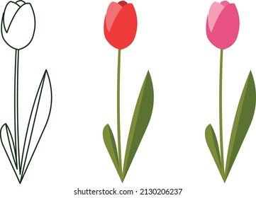 tulip flowers sketch vector illustration, eps 10