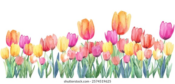 Tulip flowers in various colors vector illustration. Vibrant and cheerful tulips design celebrates the arrival of spring. Green leaves.