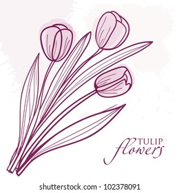 Flores de tulipa. Plano de fundo do vetor