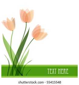 Flores de tulipán. Tarjeta de vector
