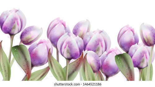 Tulip flowers vector watercolor. Spring summer poster banner