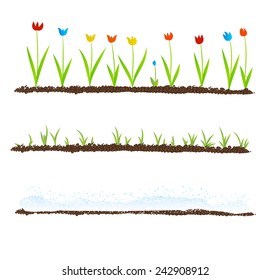 tulip flowers in winter, spring, summer, season in flower life
