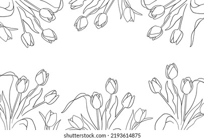 Tulip frame on white background. Floral spring border.