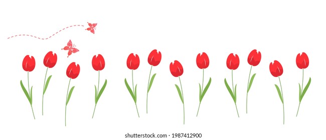 Tulip garden and butterflies isolated on white background vector illustration.