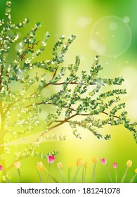 Tulip garden or field in spring background. And also includes EPS 10 vector