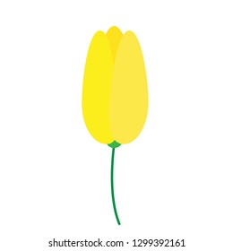 tulip graphics logo