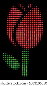 Tulip halftone vector icon. Illustration style is pixelated iconic tulip symbol on a black background. Halftone texture is build from round spots.