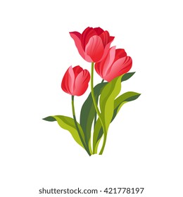 Tulip Hand Drawn Realistic Flat Vector Illustration In Artistic Painting Style On White Background
