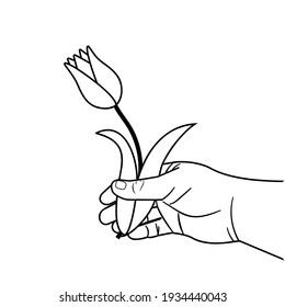 Tulip in the hand of a man black outline vector isolated illustration, clipart, icon, banner